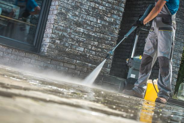 Best Building Exterior Washing  in Algonquin, IL