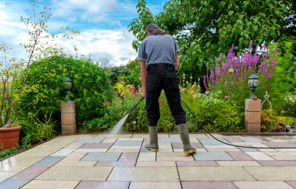 Best Driveway Pressure Washing  in Algonquin, IL